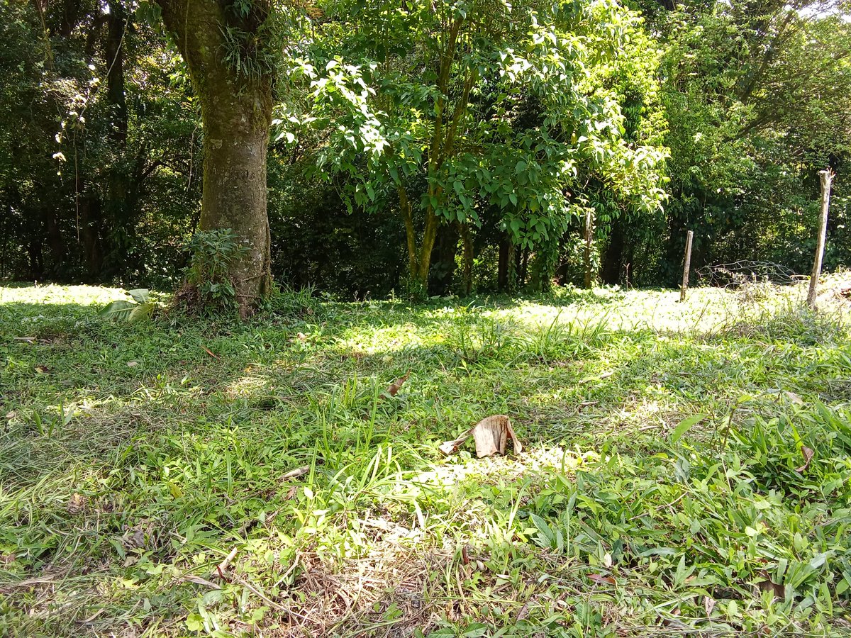 Dave Blanco tweet media