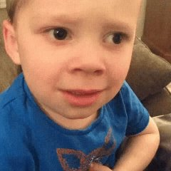 Big Willy tweet media