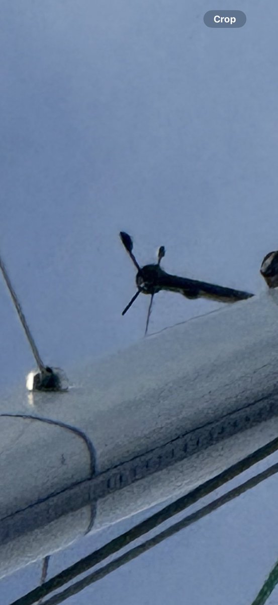 James Ketchell tweet media