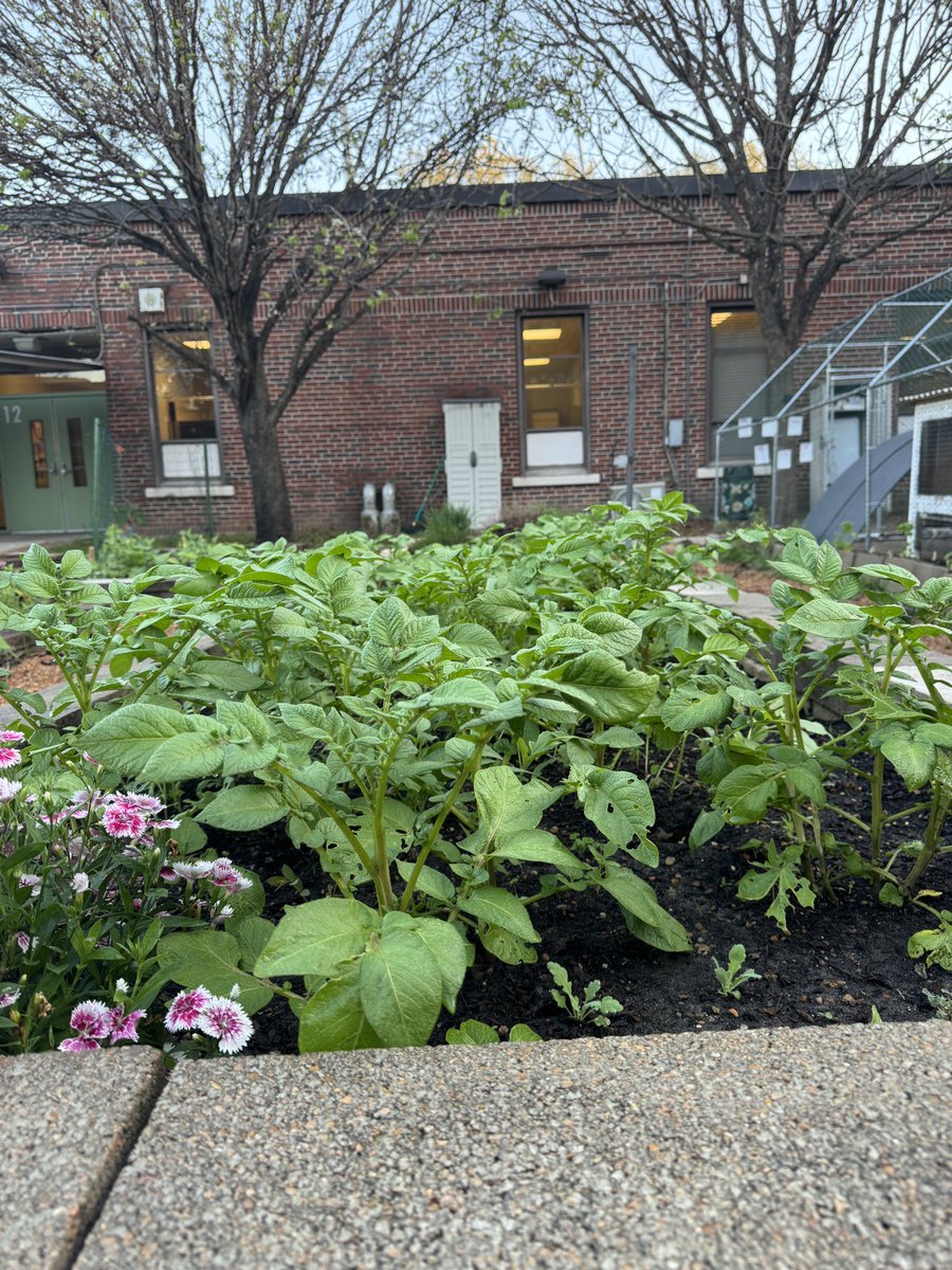 Maria Paoli-Vega tweet media