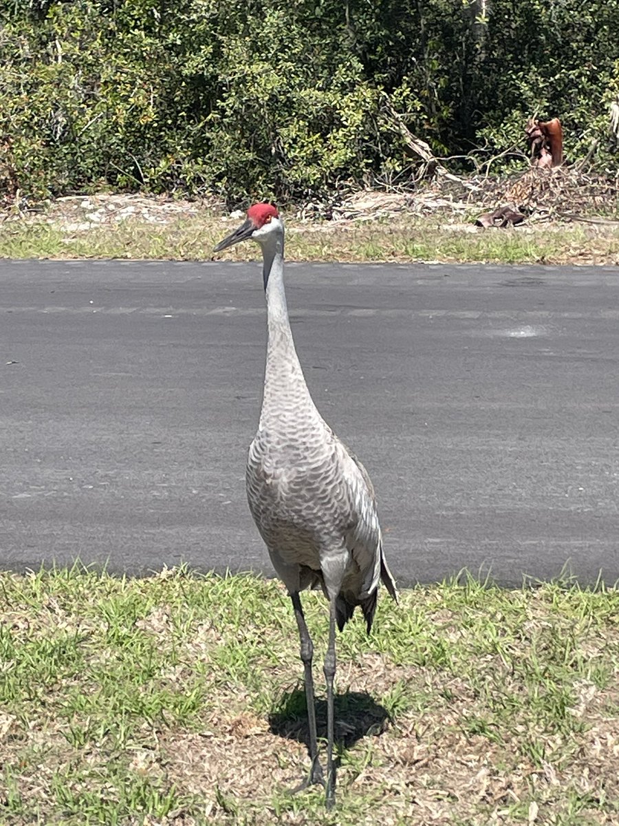 SinOfSloth🦥🫩 tweet media