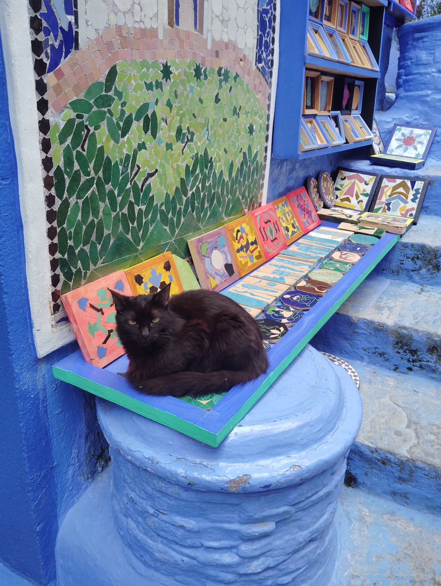 🚲🍆@🇲🇦 tweet media