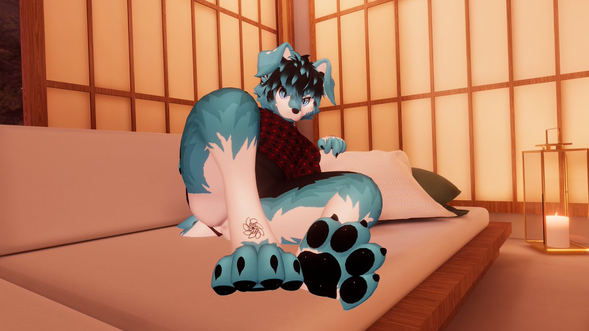 Fuzzy Husky 🐾 tweet media