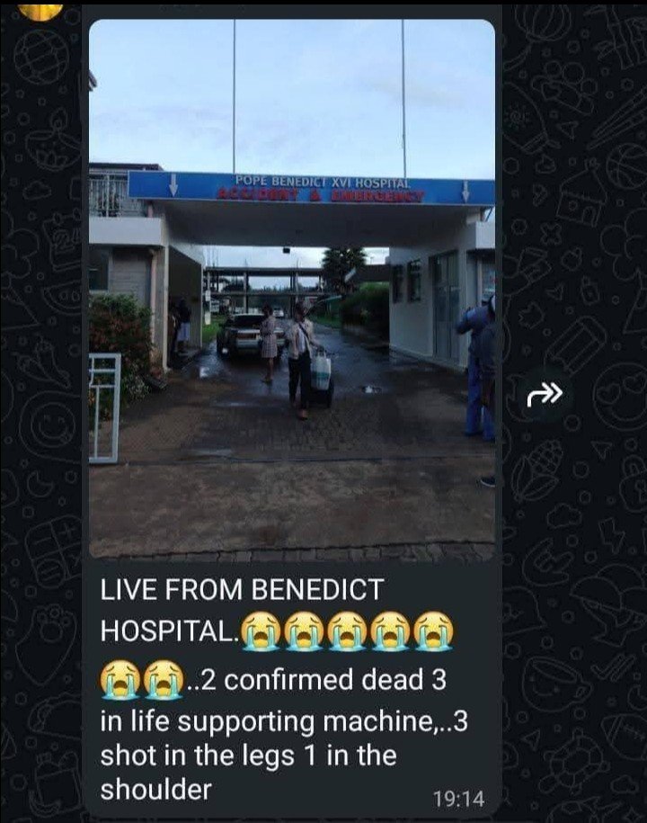 Kuna Matata 🫆 tweet media