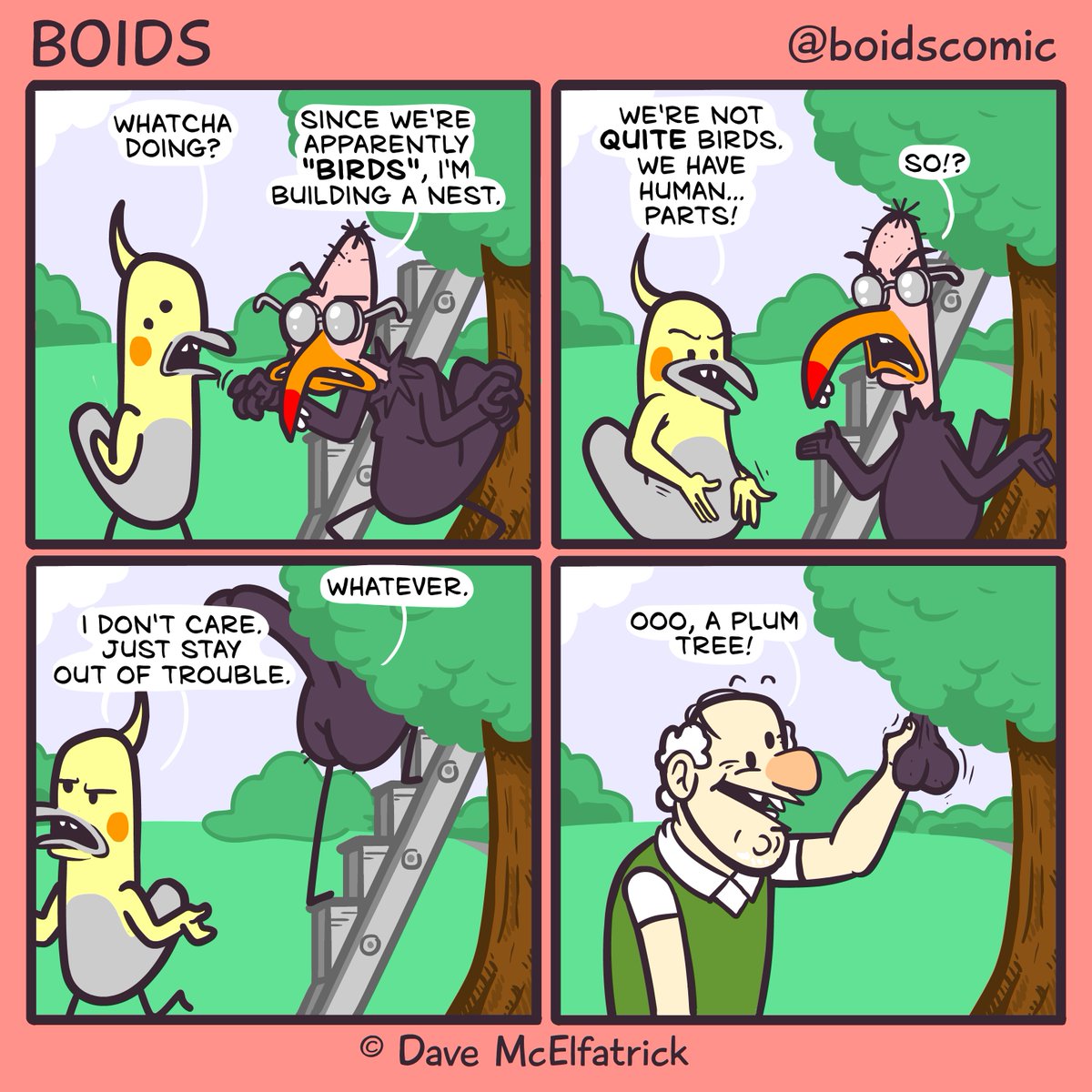 Boids tweet media