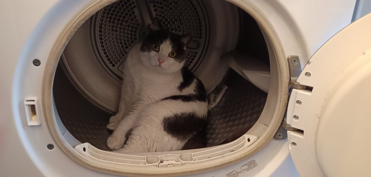 Spillo nell' asciugatrice ☀️