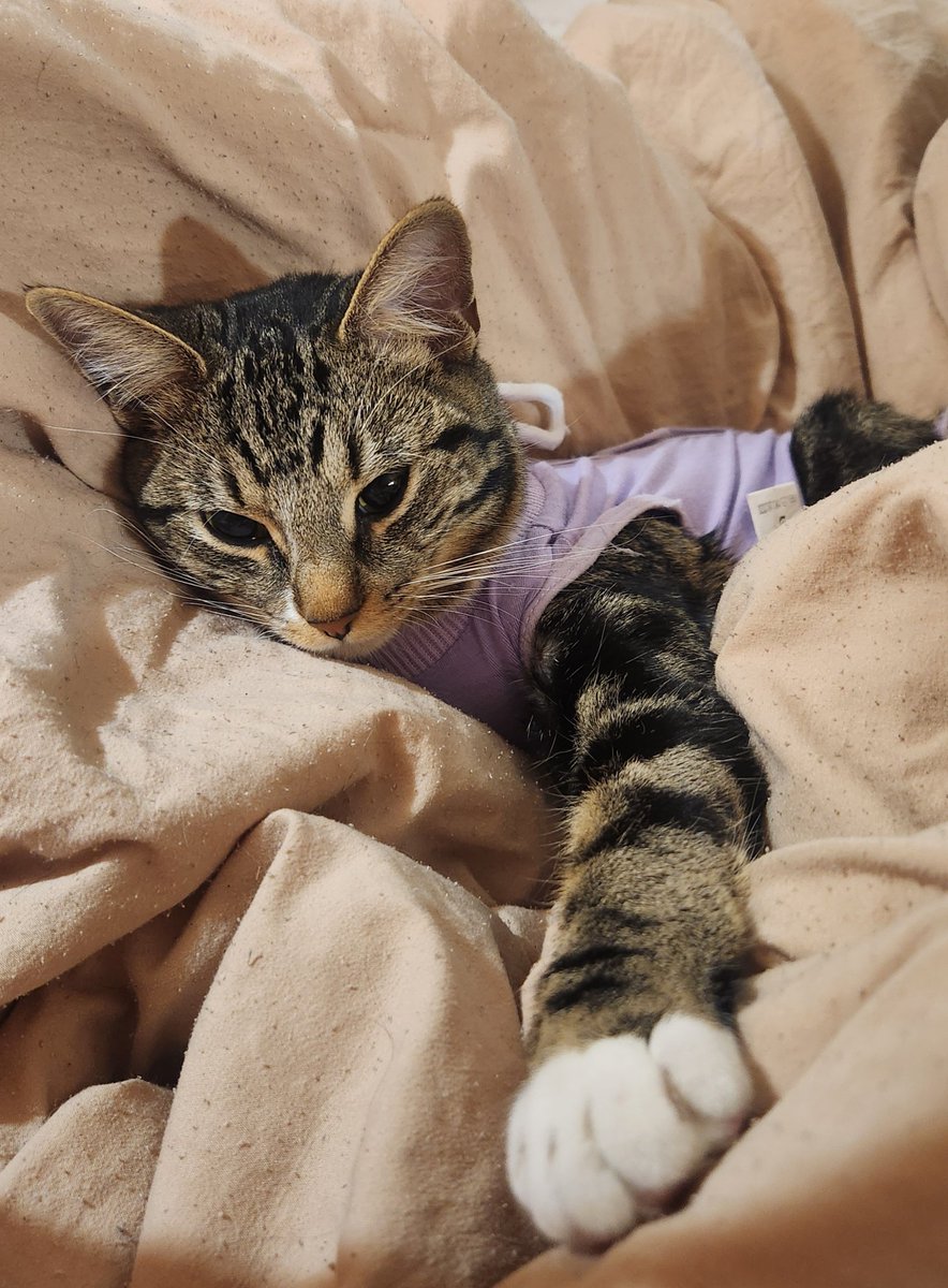 ˗ˏˋ cassie ˎˊ˗ tweet media