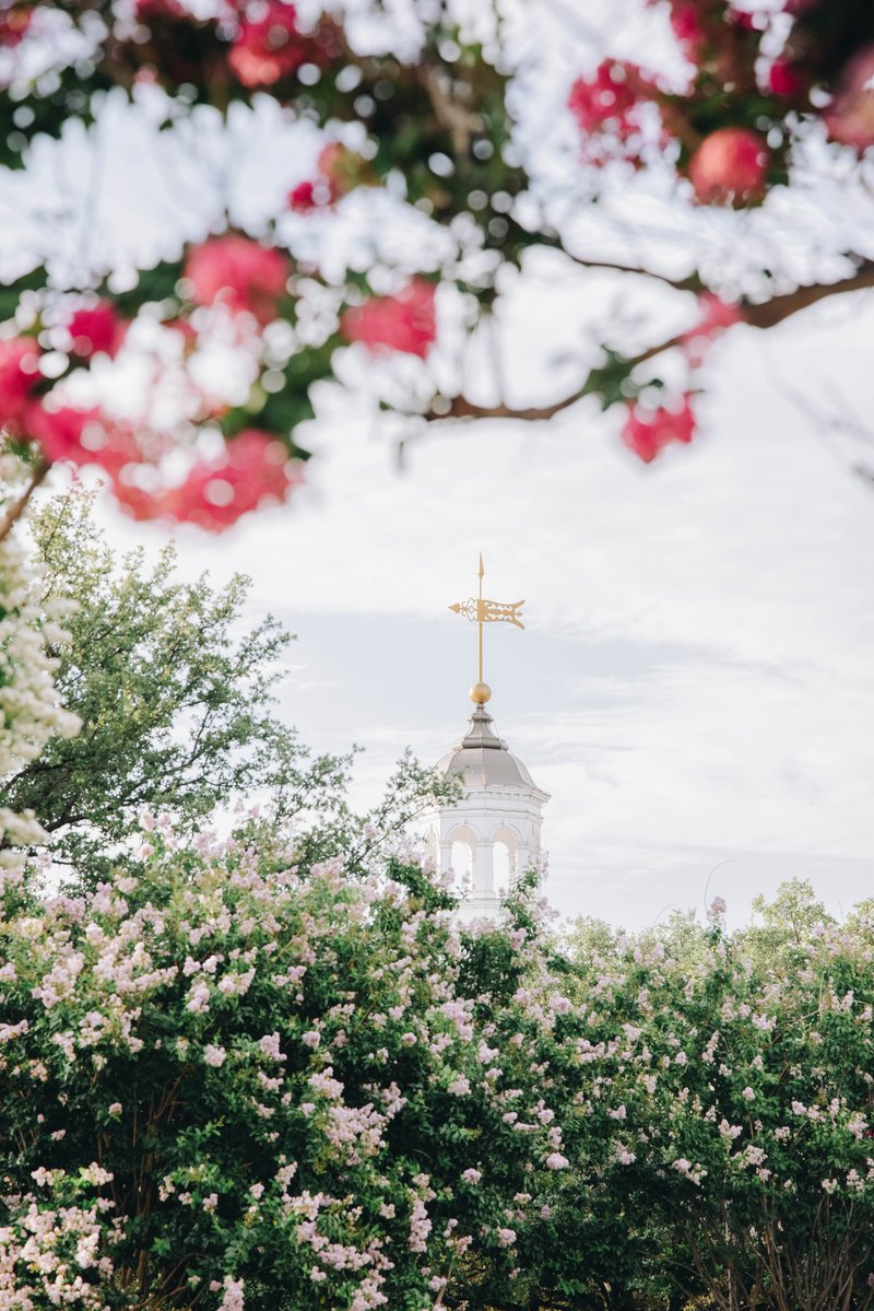 Dallas Baptist University tweet media