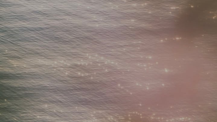 malin ♡ tweet media