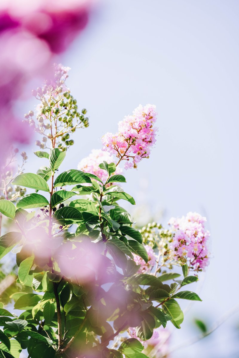 Dallas Baptist University tweet media