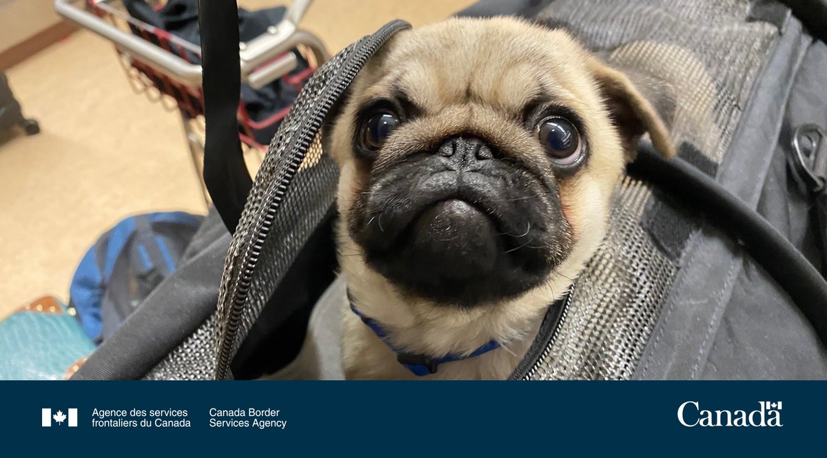 Serv frontaliers PRA tweet media