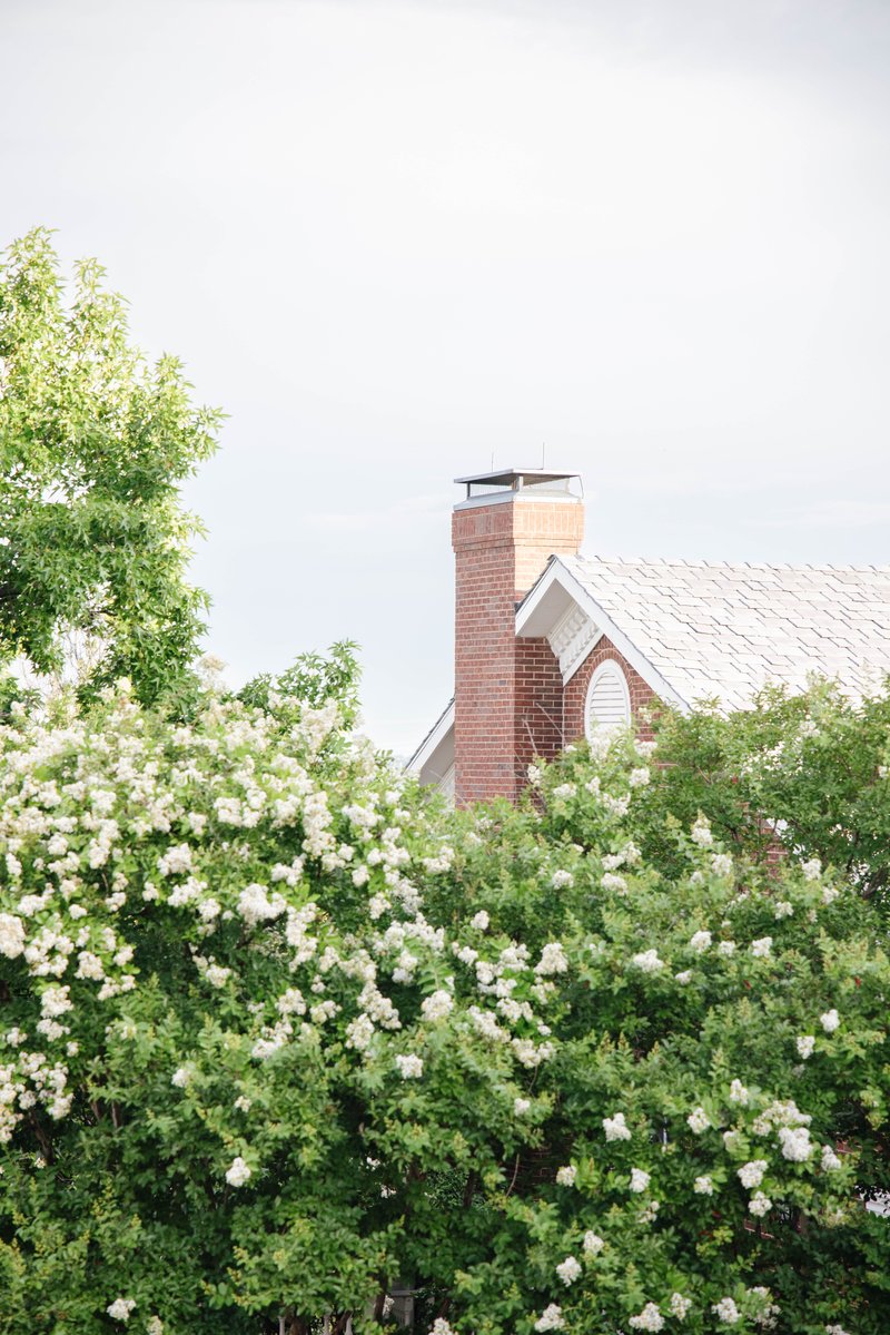 Dallas Baptist University tweet media