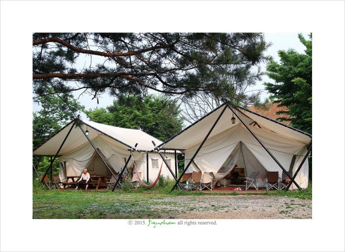 덕배입니다 tweet media