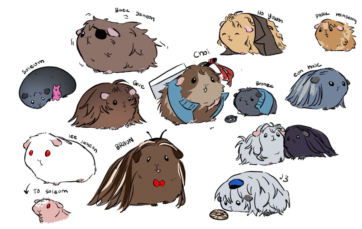 cavyette tweet media