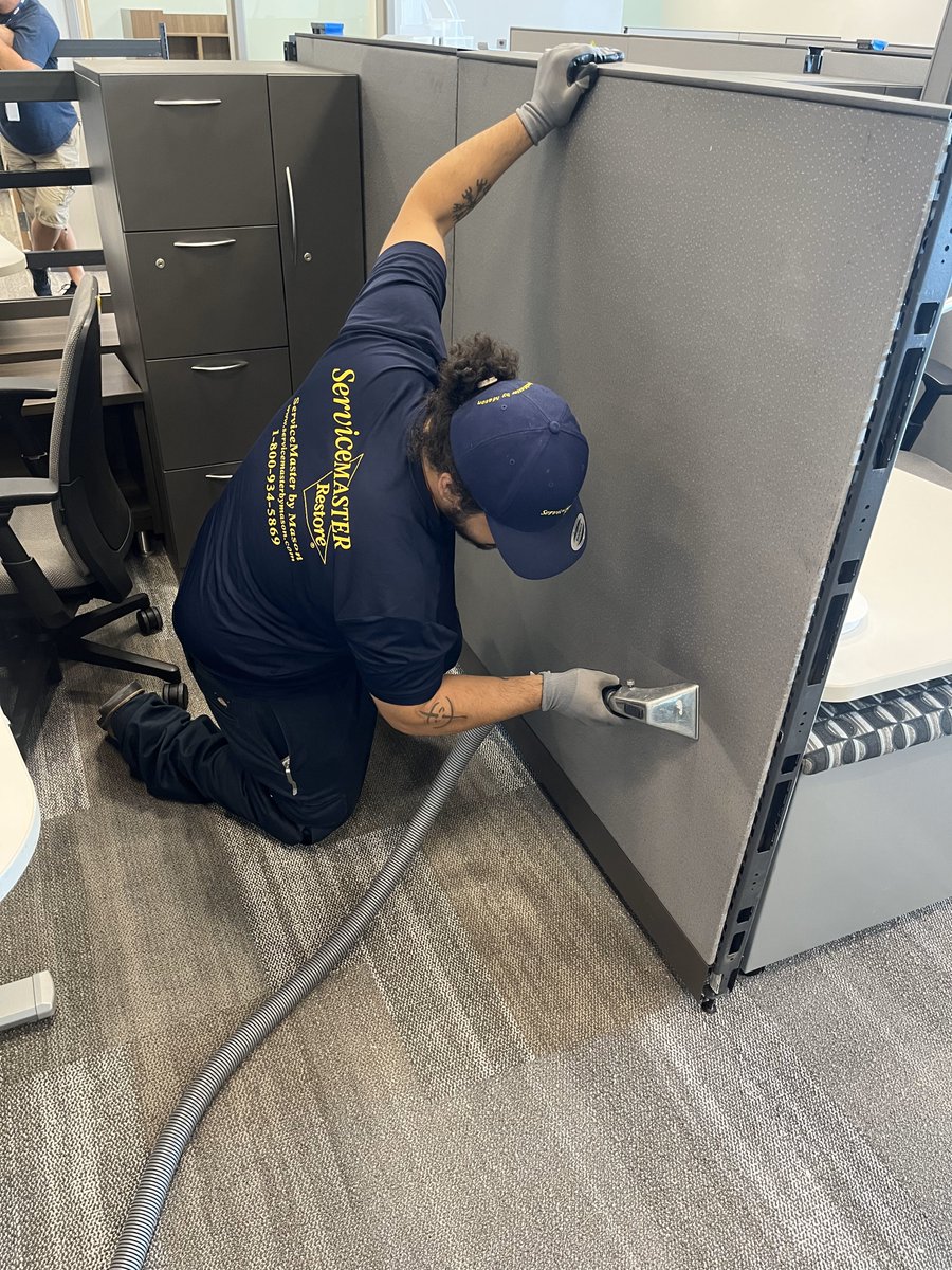 SMWesterly's tweet image. The American Lung Association has identified dust mites as a major issue for people with respiratory issues. Eliminate these pests from carpets, upholstery and office partitions at your business with our deep-cleaning &amp;amp; sanitizing services. Call today! #cleaningservice #business