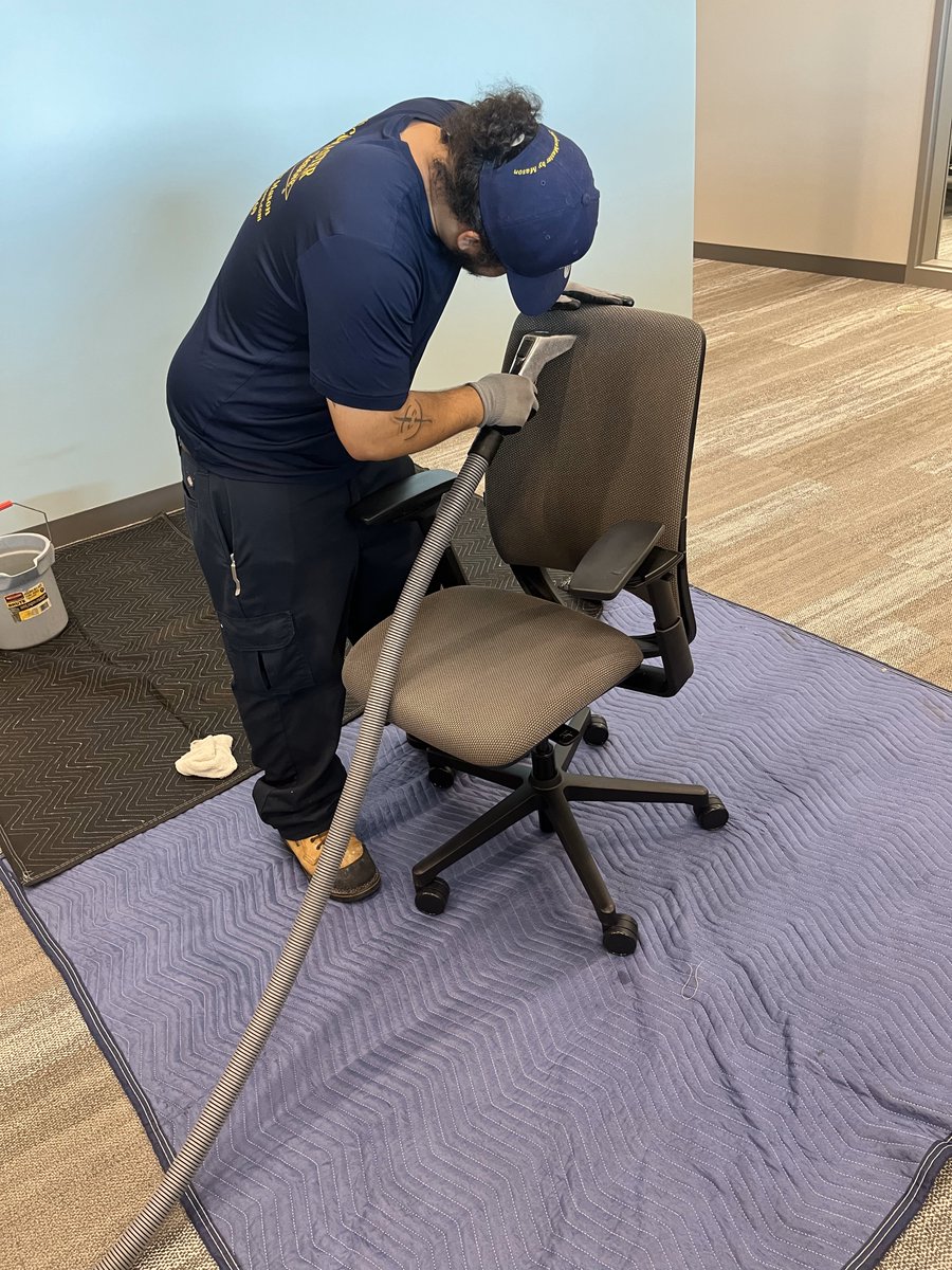 SMWesterly's tweet image. The American Lung Association has identified dust mites as a major issue for people with respiratory issues. Eliminate these pests from carpets, upholstery and office partitions at your business with our deep-cleaning &amp;amp; sanitizing services. Call today! #cleaningservice #business