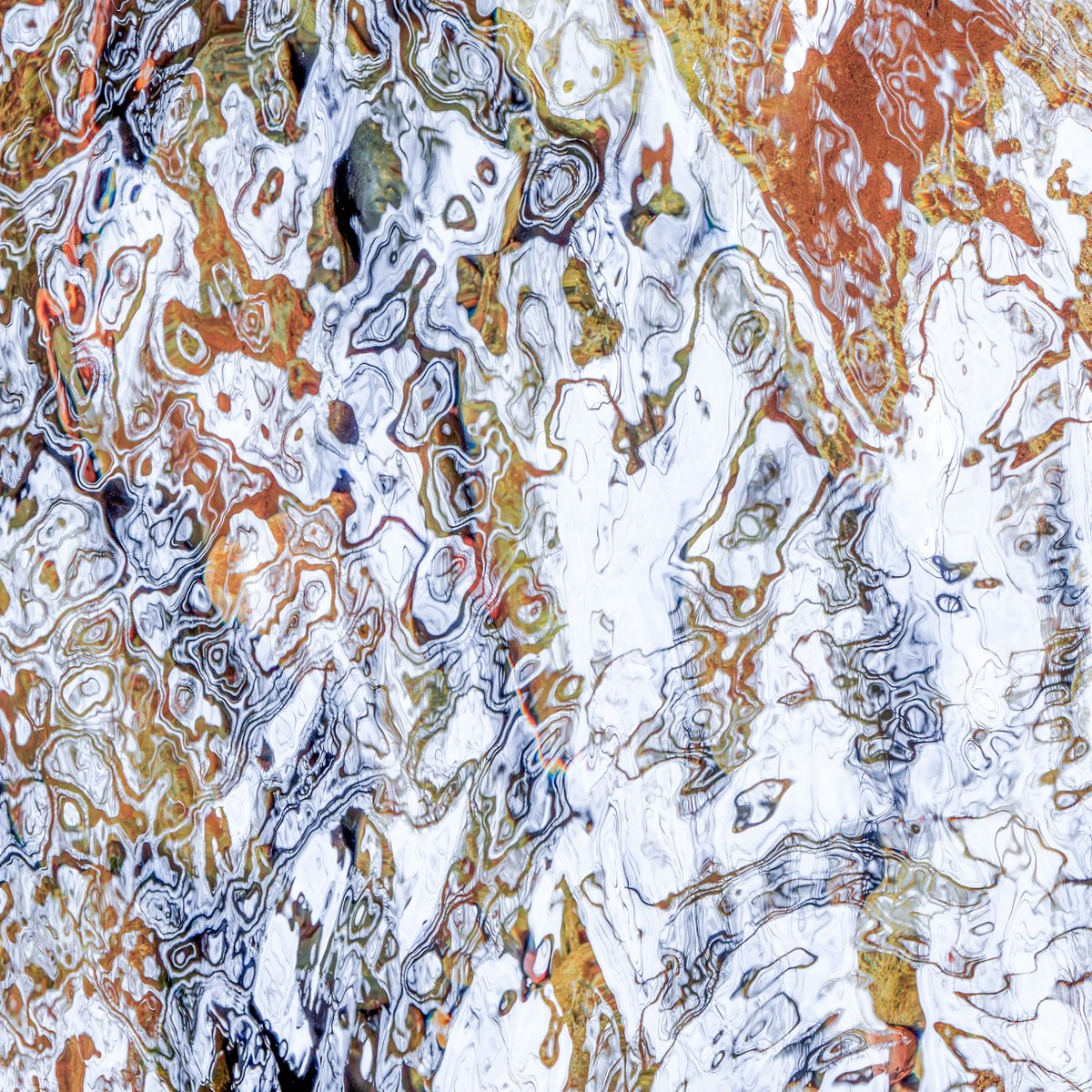 Tara in Abstract 🙃 tweet media