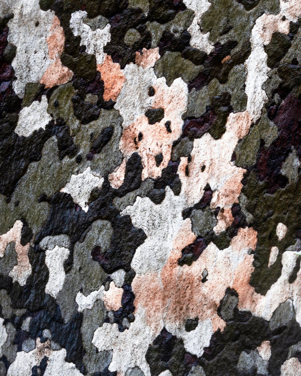 Tara in Abstract 🙃 tweet media