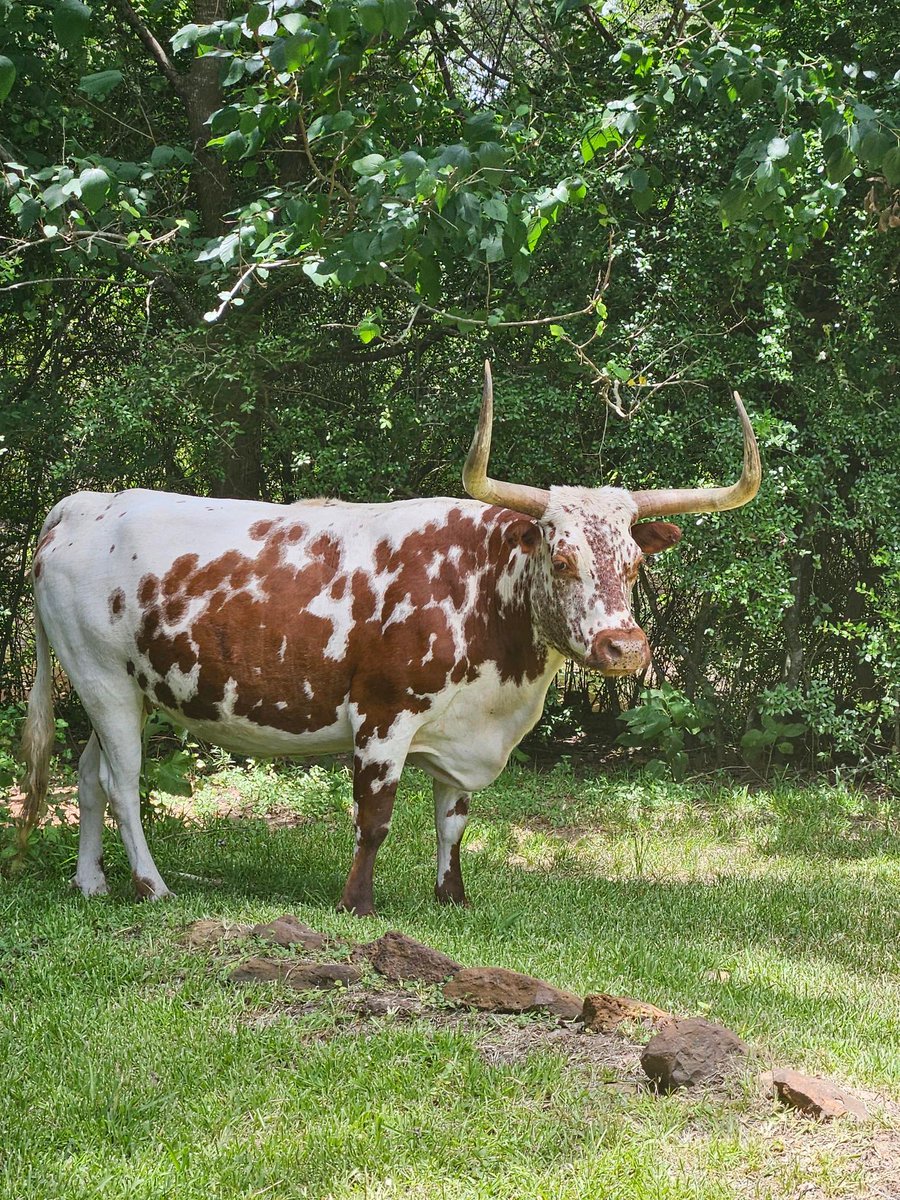 MATFORCE tweet media