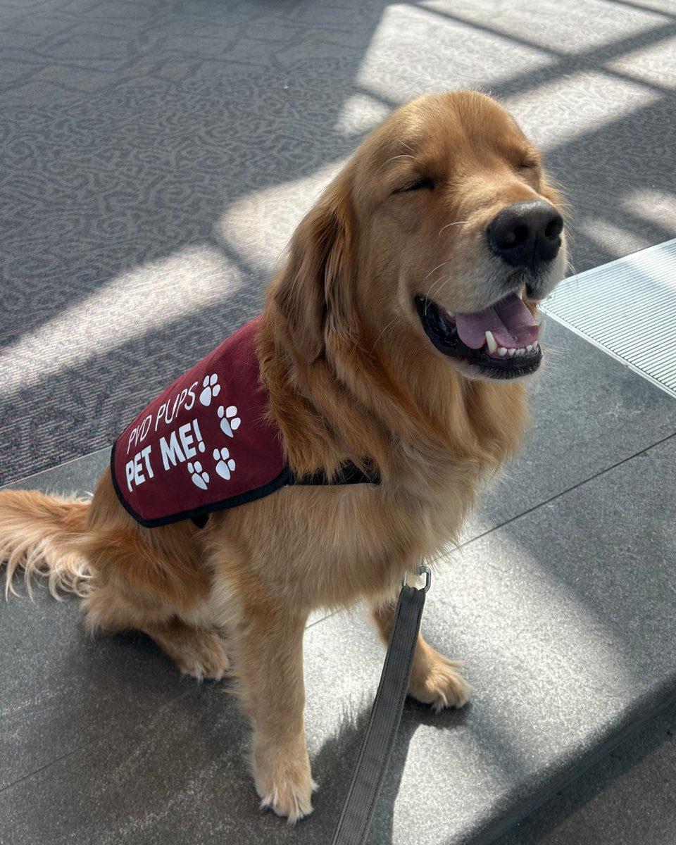 Rhode Island T. F. Green International Airport tweet media
