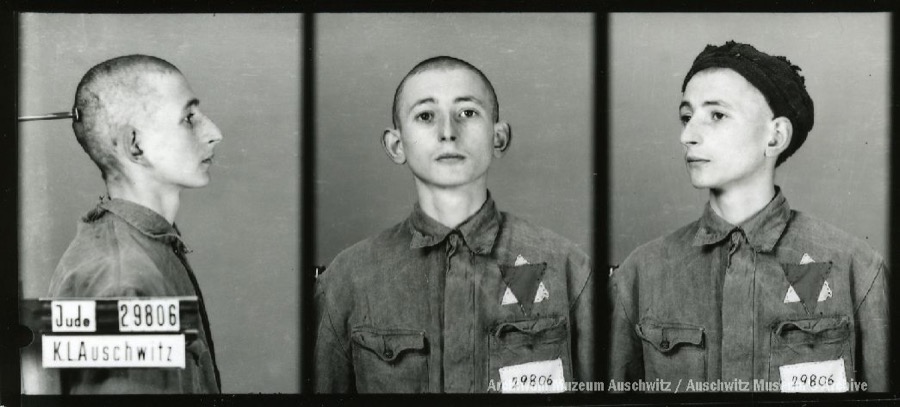 Auschwitz Memorial tweet media