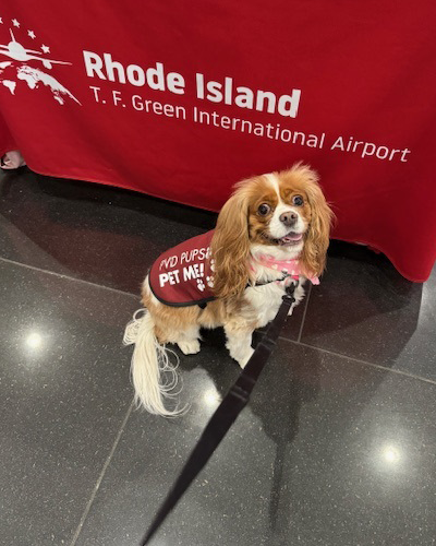 Rhode Island T. F. Green International Airport tweet media