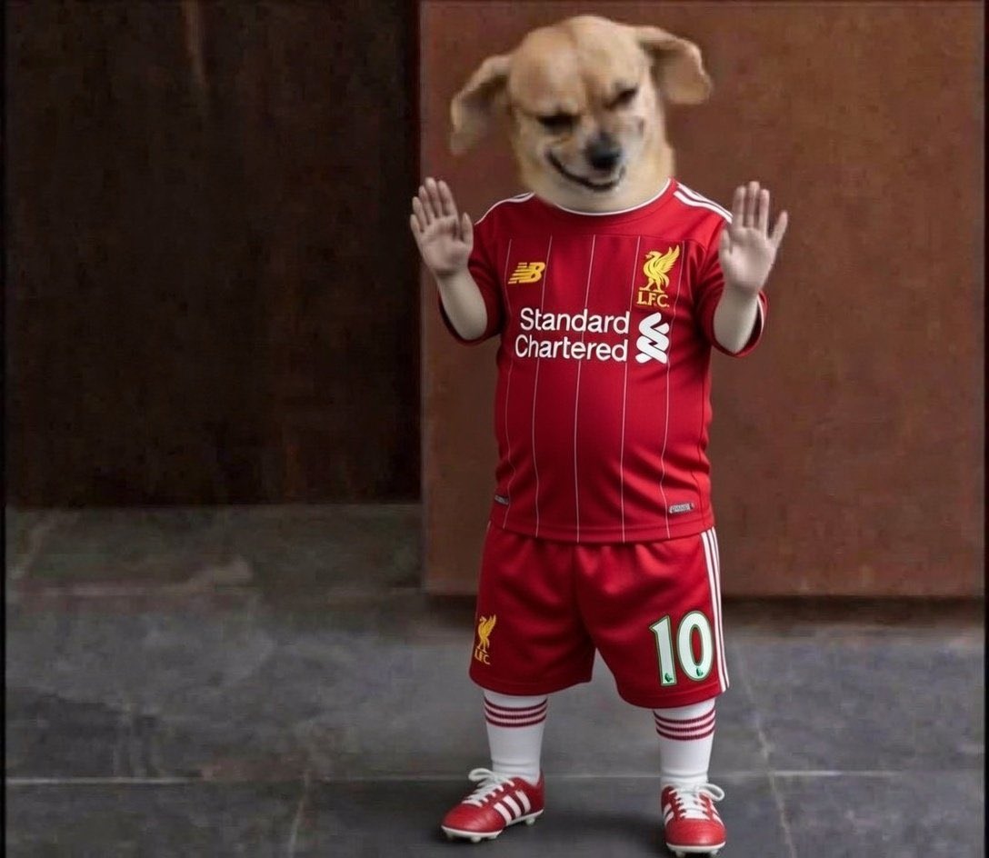 Optimus14 tweet media