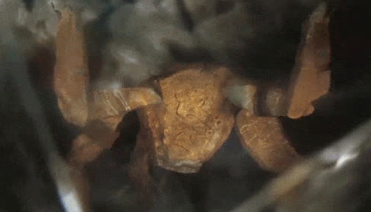 Cineworld tweet media