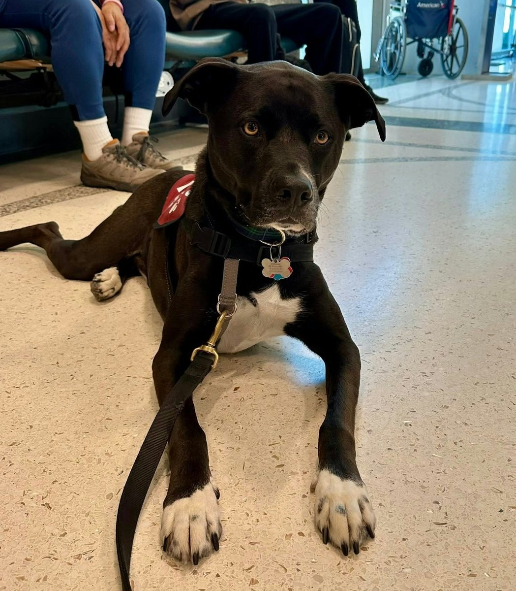 Rhode Island T. F. Green International Airport tweet media