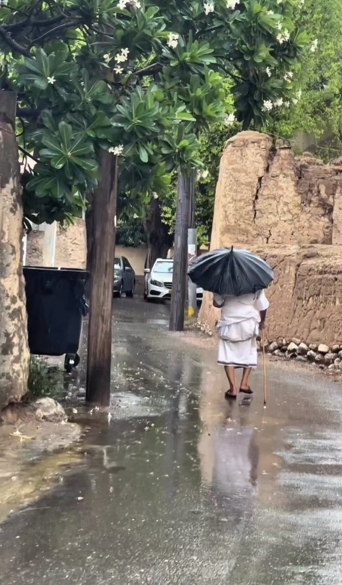 رهف البوسعيدي tweet media