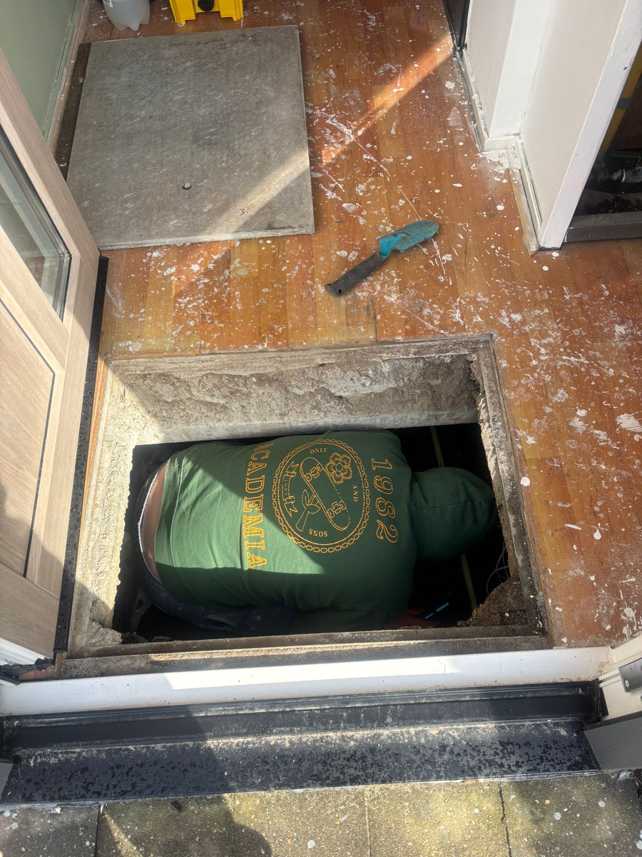 dinobreezy's tweet image. I am a bit more offline lately but we're in the middle of a big home renovation,  after a new roof and windows it's now painting and new flooring ⚒️💪🏻

#HomeImprovement #renovation #redecorating #verbouwen #busytimes