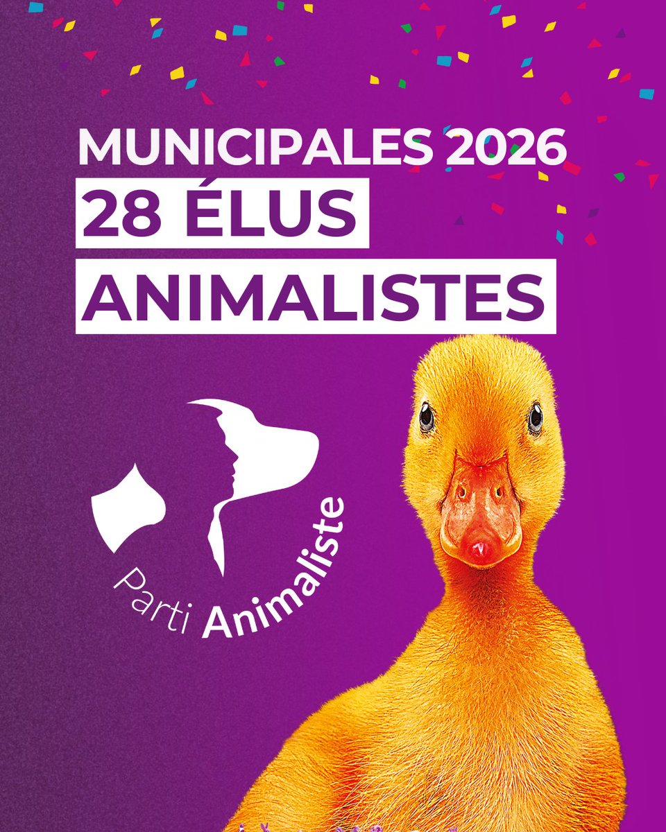 Parti animaliste tweet media