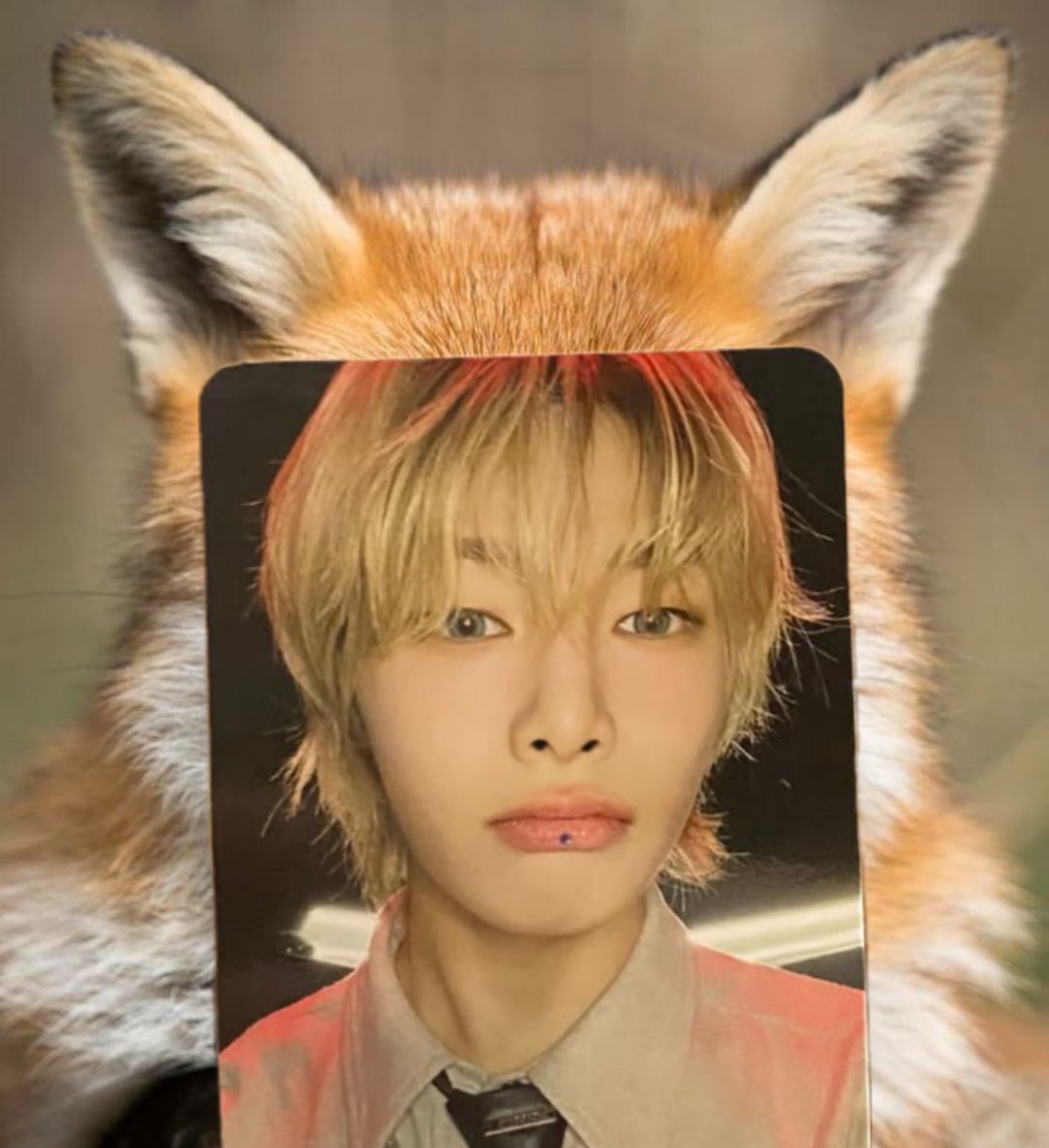 марuнkkис゛🍞 tweet media