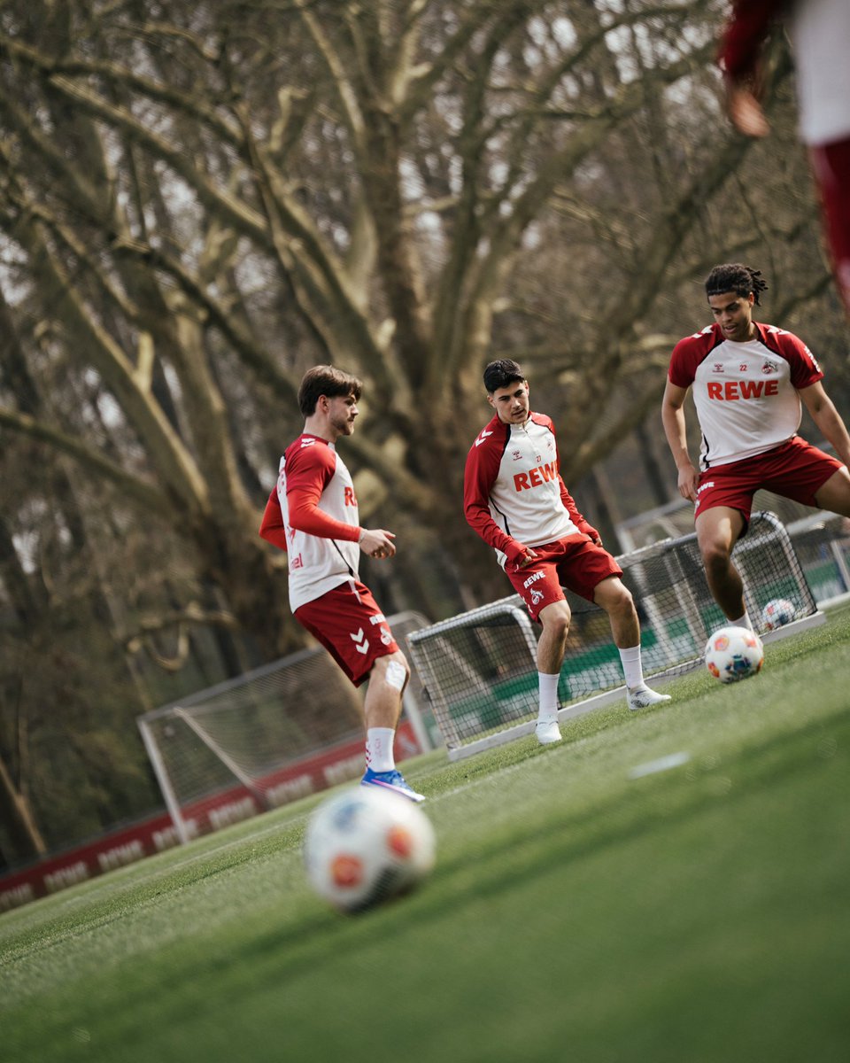 1. FC Köln tweet media