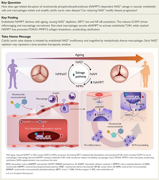 EHJ Editor-in-Chief tweet media