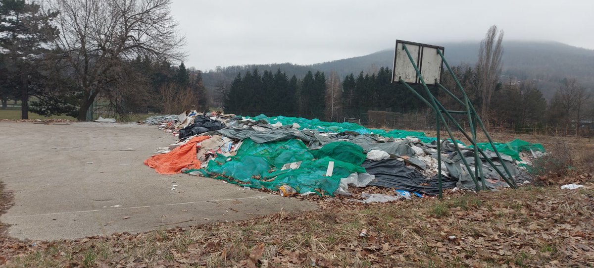 Vesna Stojanovic tweet media