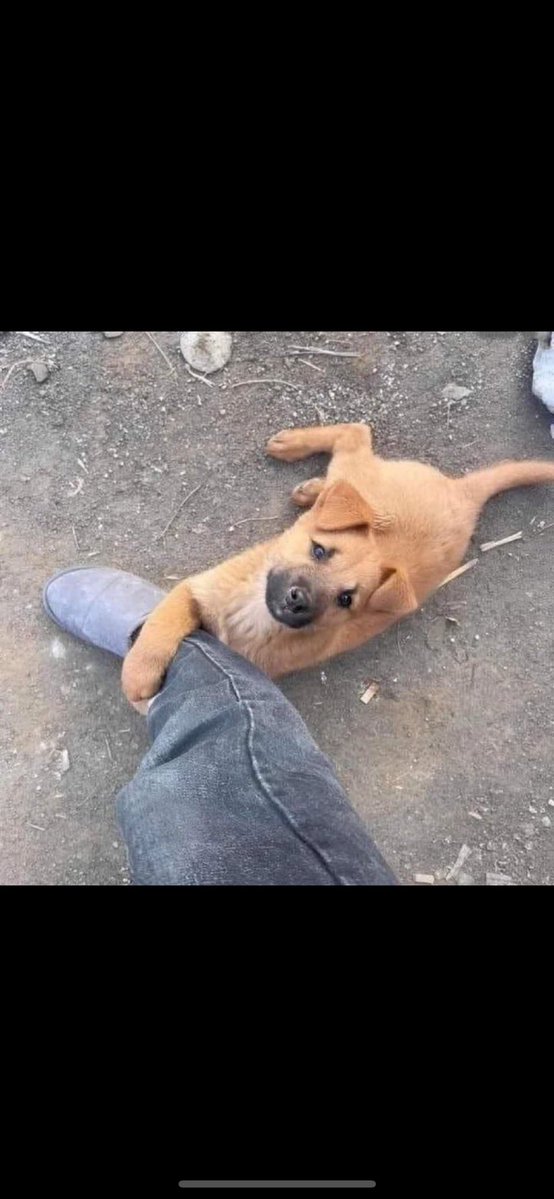 igwedede. tweet media