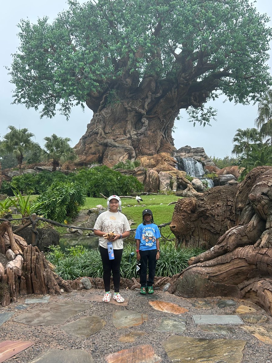 Sunshine Foundation tweet media