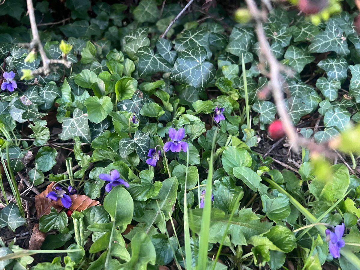 Saskia James tweet media