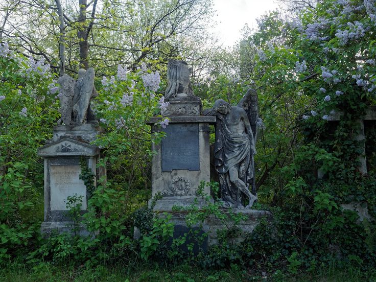 𝕰𝖑𝖊𝖒𝖒𝖎𝖗𝖊 tweet media