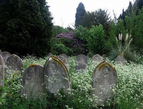 𝕰𝖑𝖊𝖒𝖒𝖎𝖗𝖊 tweet media