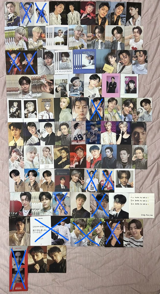 Daoye🐈🦌🦅🦮🐧🦊🐥 tweet media