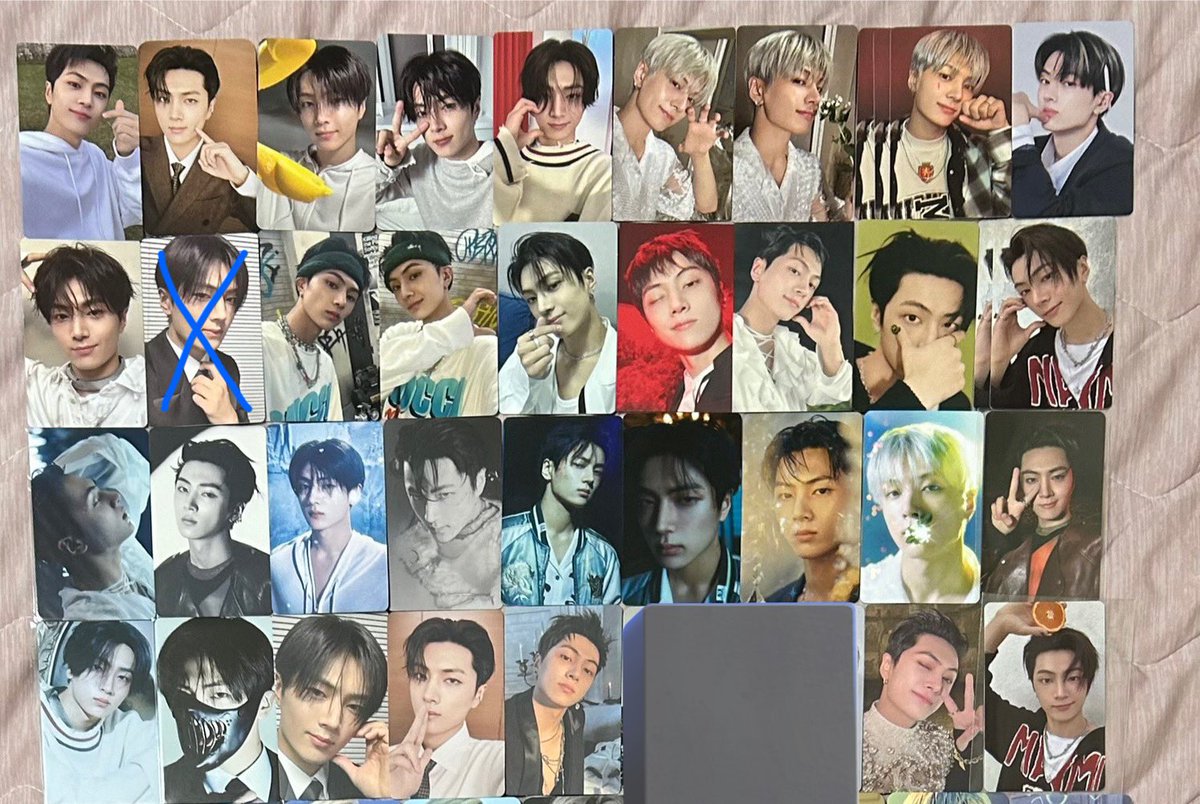 Daoye🐈🦌🦅🦮🐧🦊🐥 tweet media