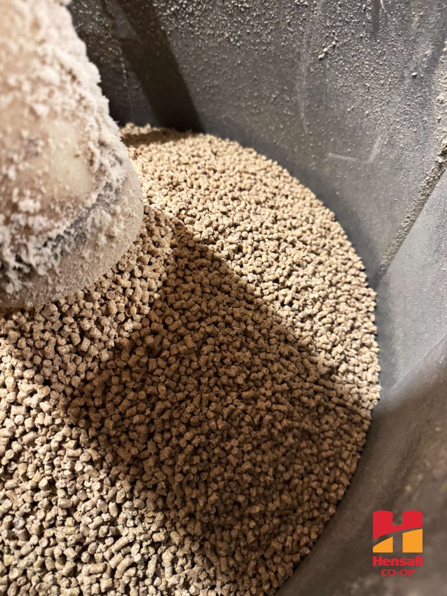 Hensall Co-op Animal Nutrition tweet media