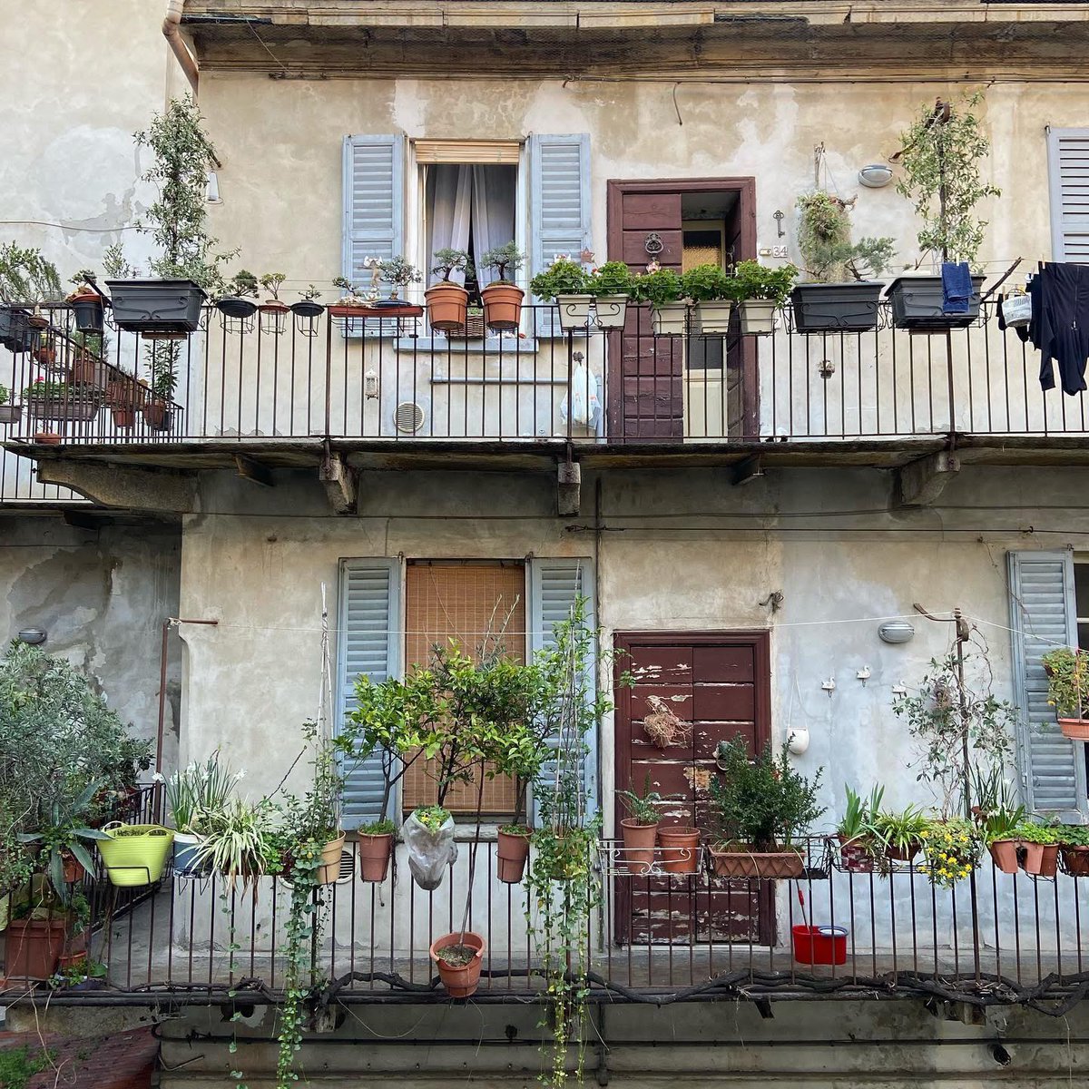 Clara R. tweet media