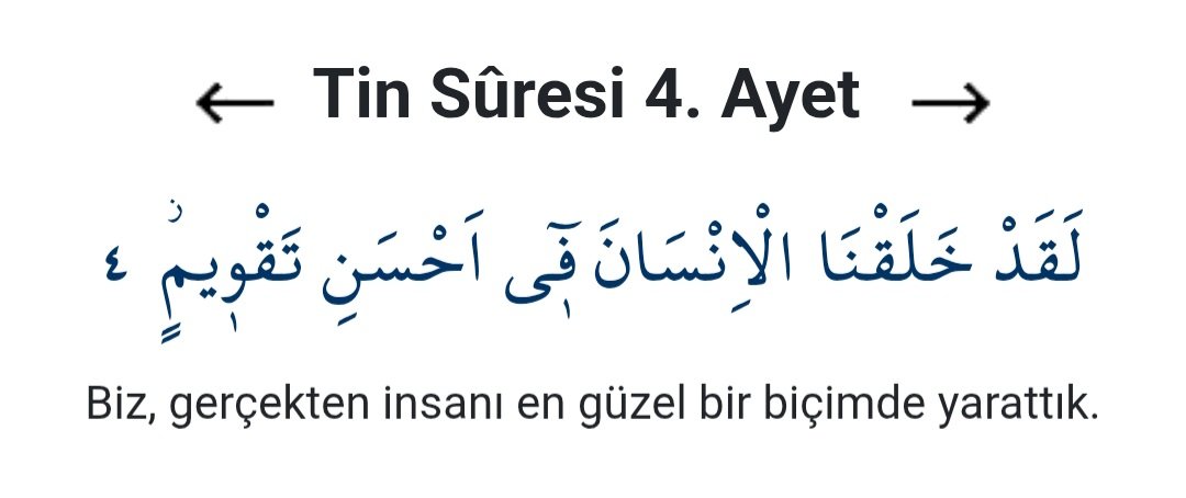 Sapiens Hasan tweet media