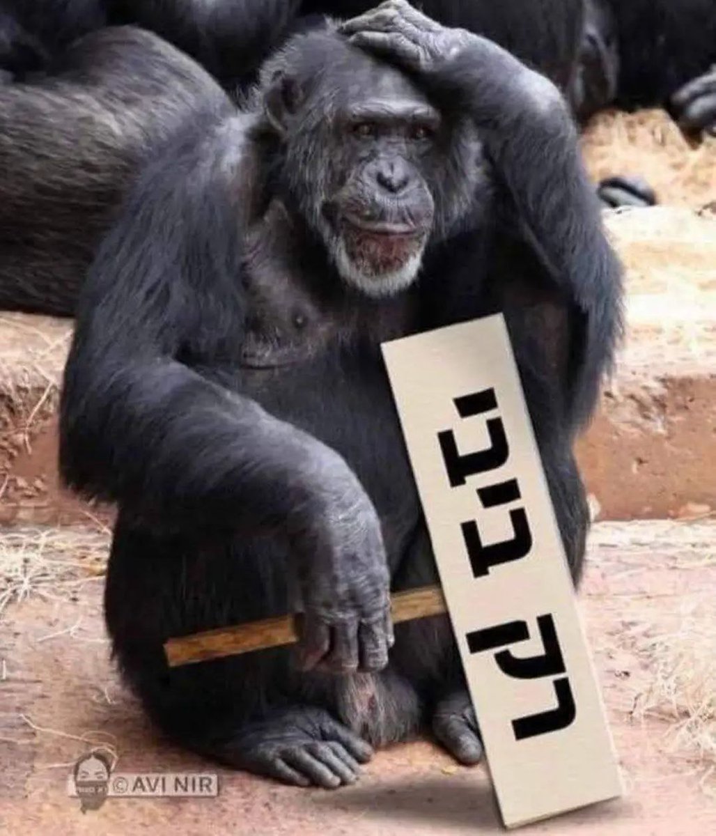 E.Natalie tweet media