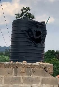 CEDA 🥀 🍃 tweet media