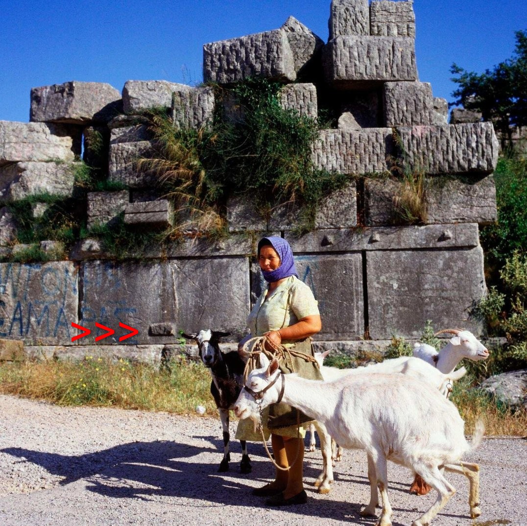 Maria Korh tweet media