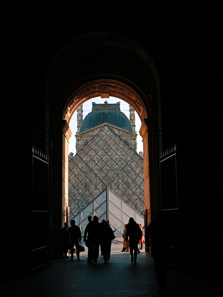 Fish & Dive 🐙'Préservons la Méditerranée' tweet media